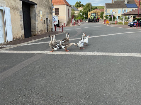 奥伯格方丹酒店主图