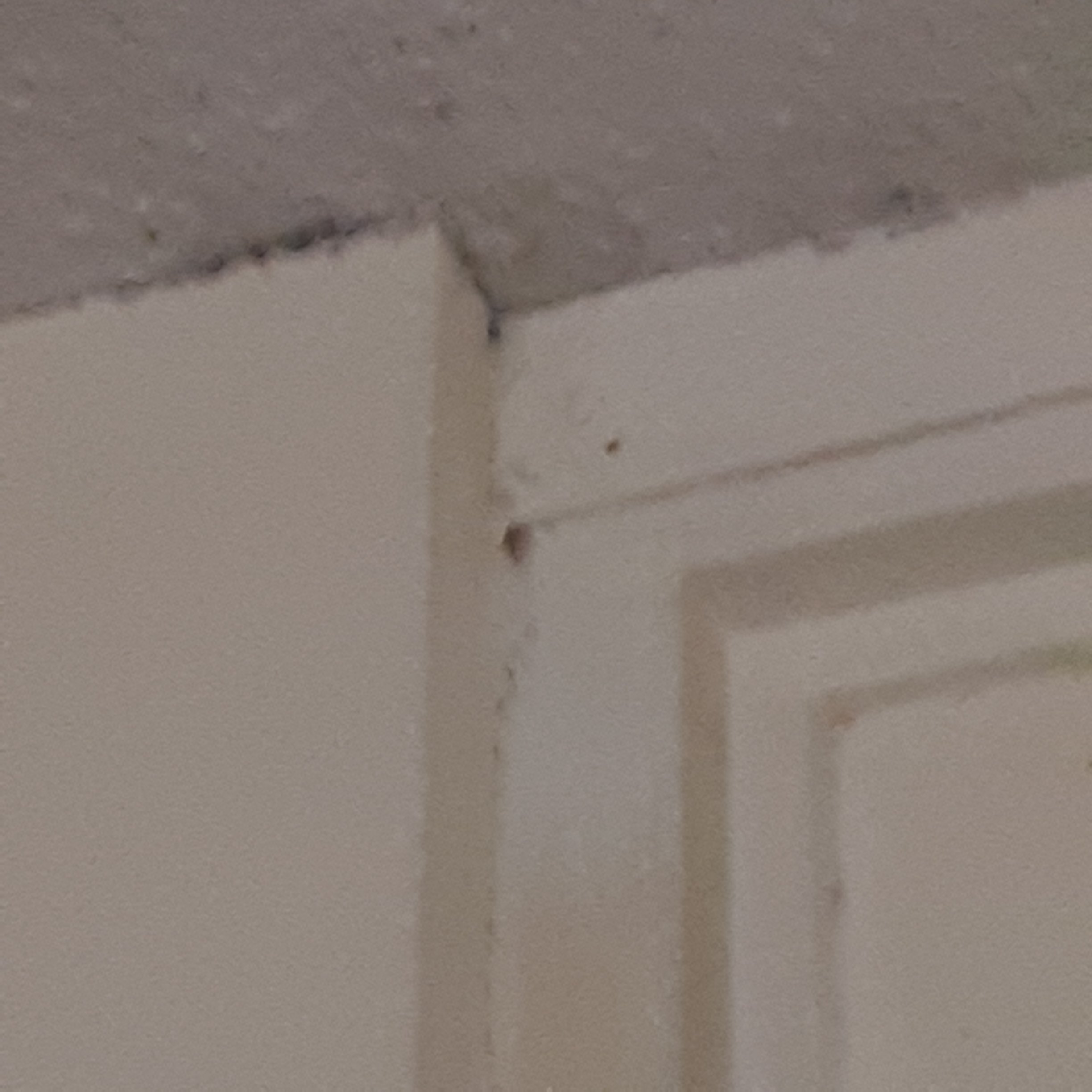 Sure Stay Plus By Best Western St Marys-官方