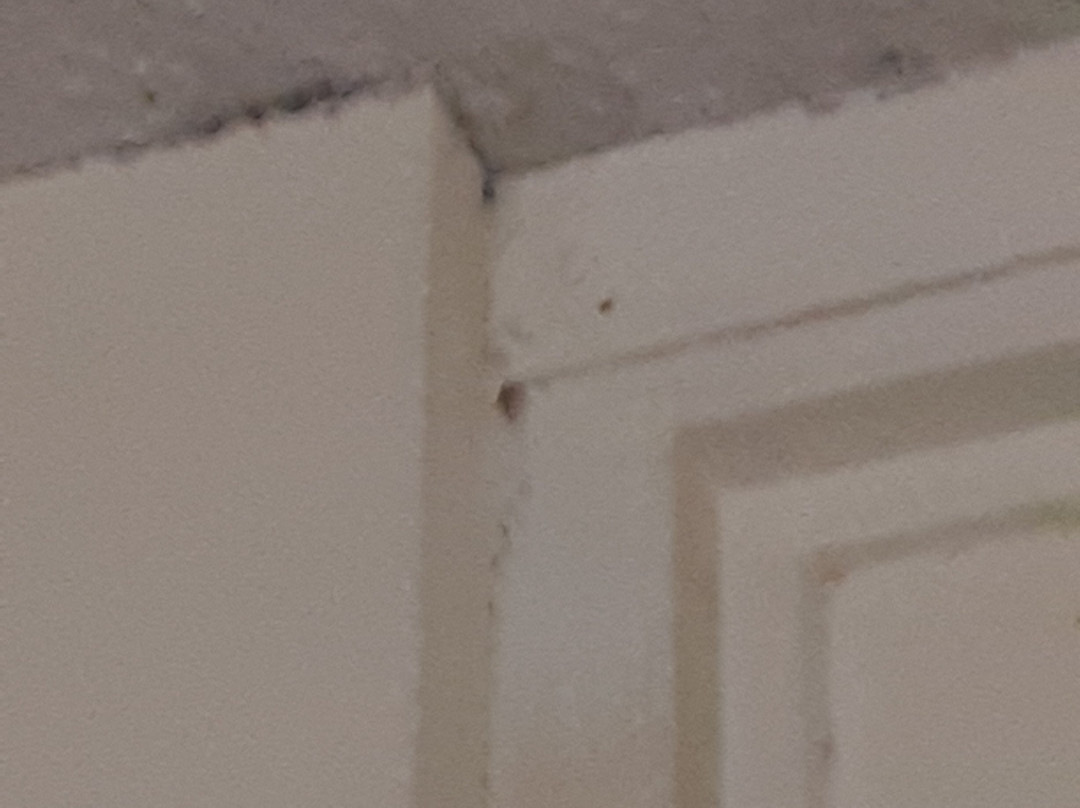 Sure Stay Plus By Best Western St Marys主图