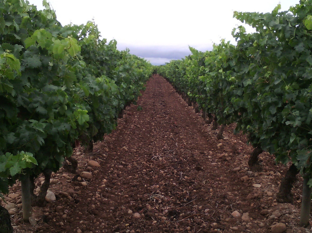 Integra-T Experience-巴伦西亚必去景点