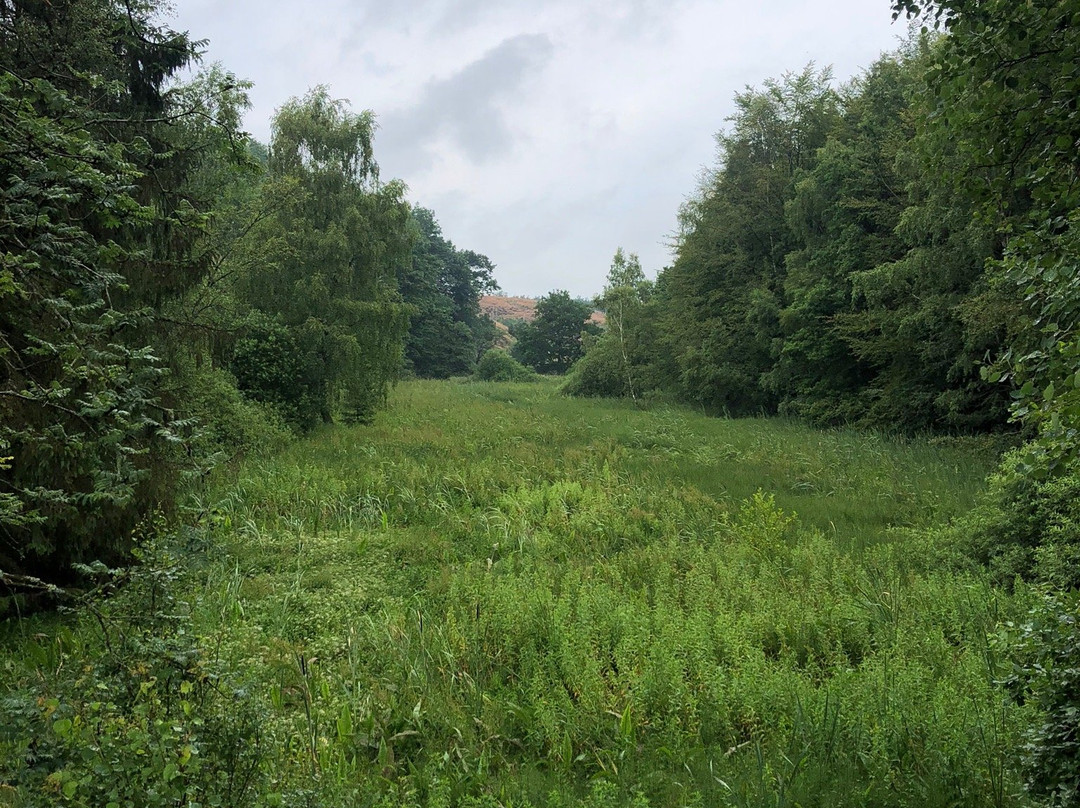 Ro Plantage-Klemensker必去景点