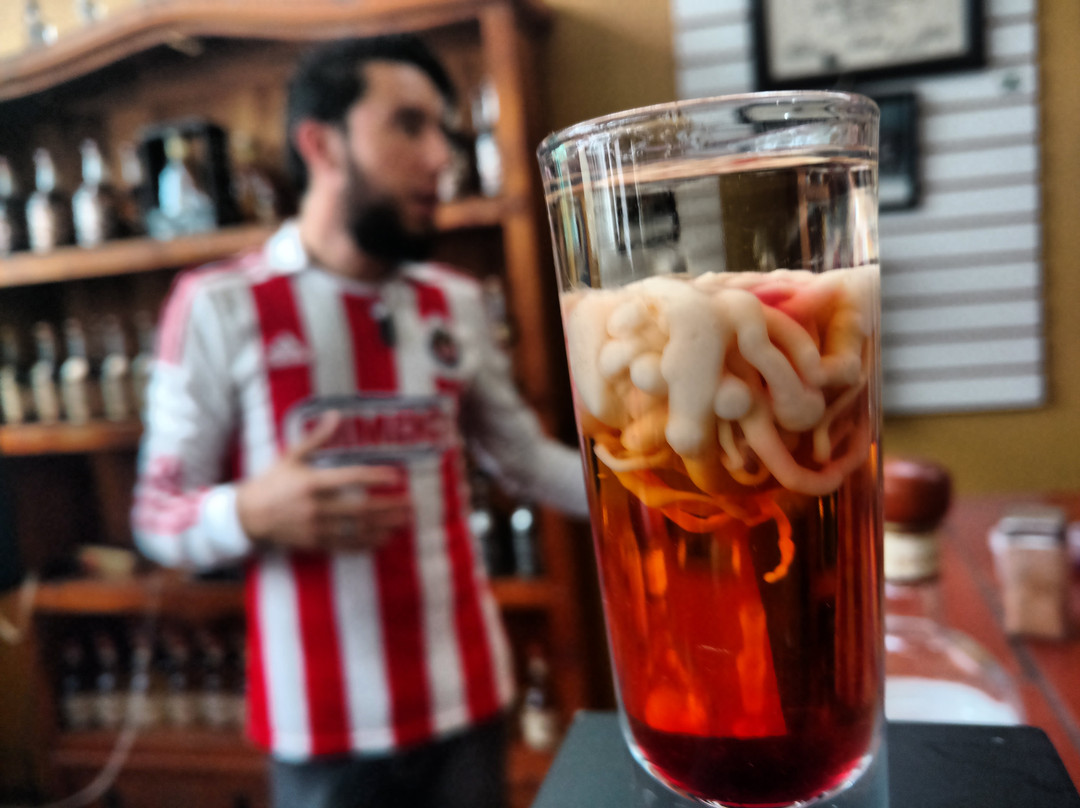 GDL Adventure-特基拉必去景点