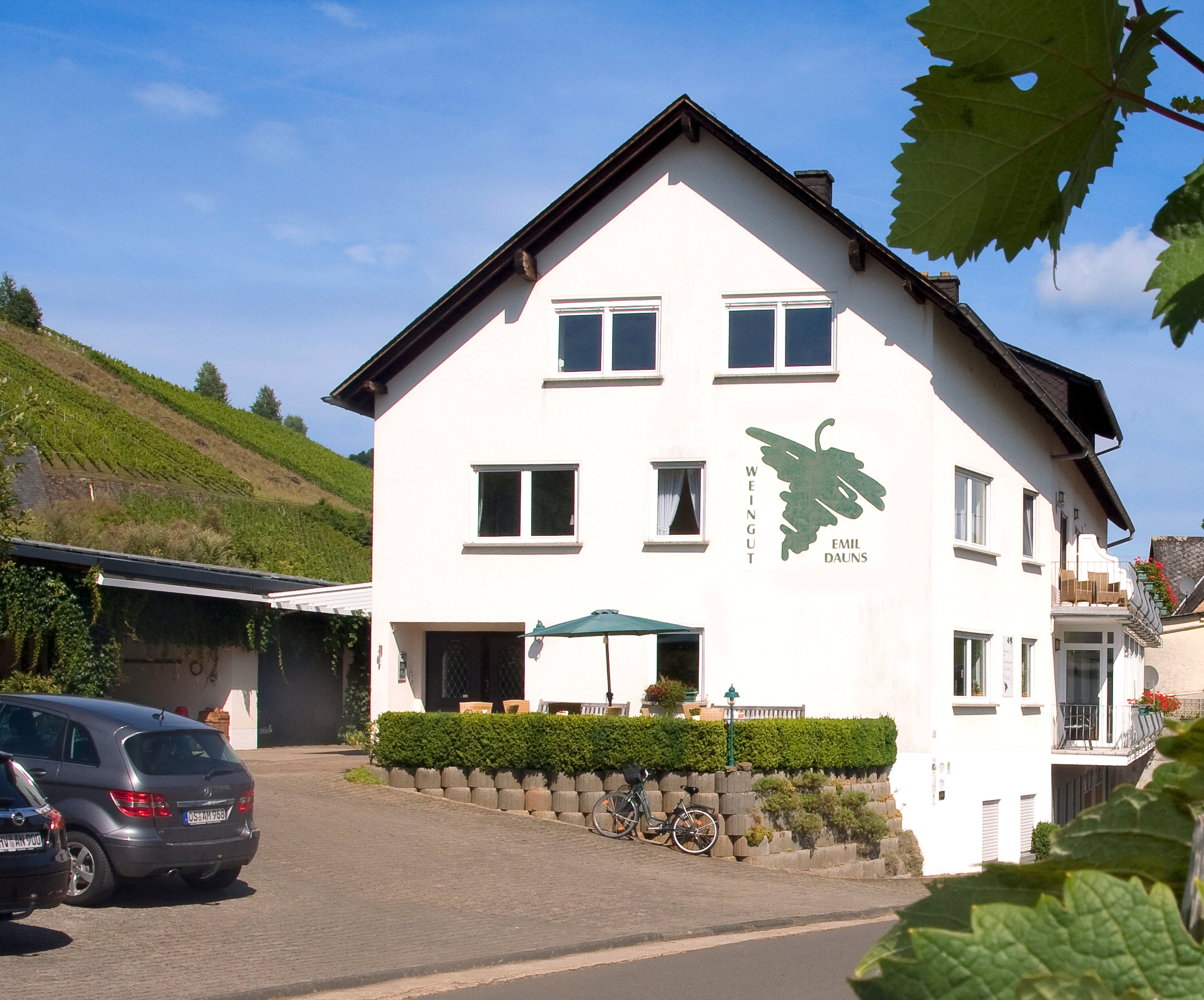 Weingut Brennerei Gastehaus Dauns-官方