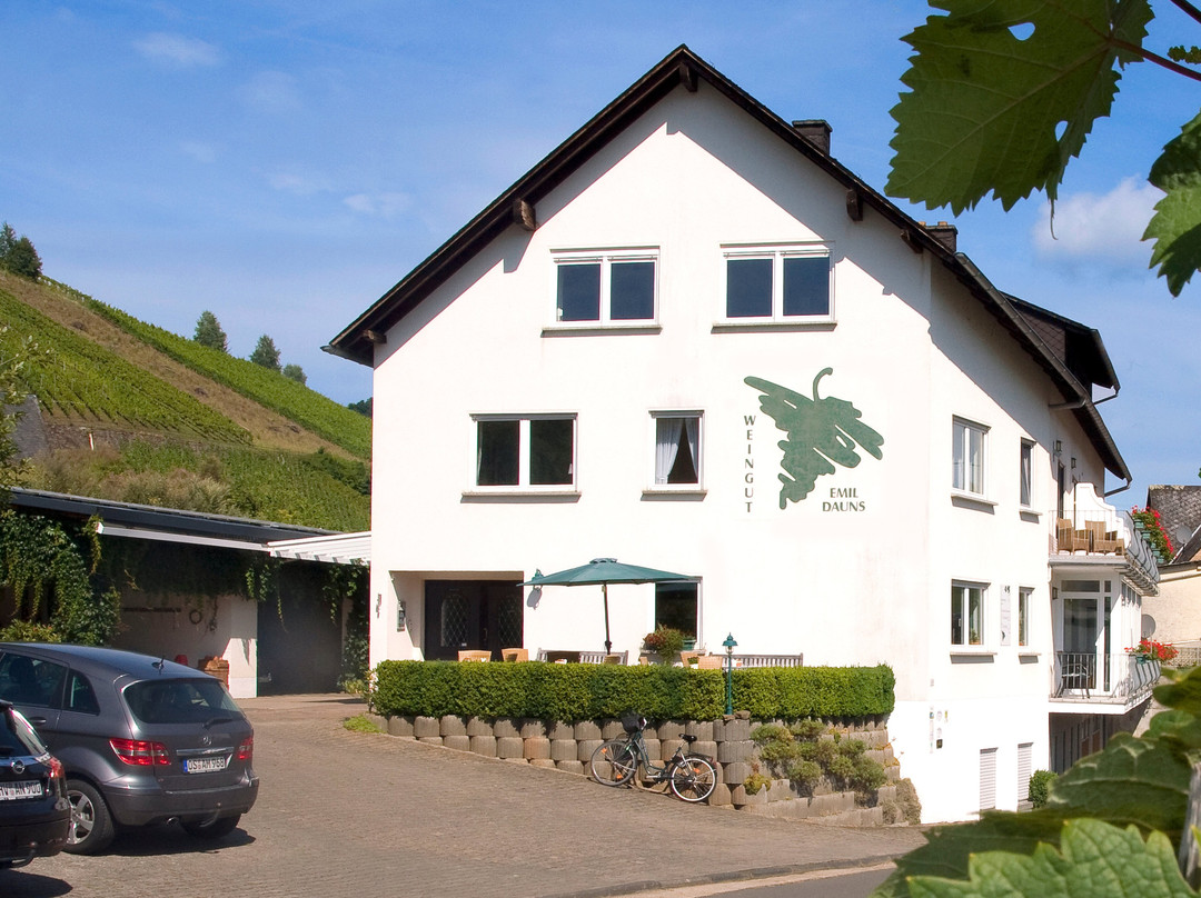 Weingut Brennerei Gastehaus Dauns主图