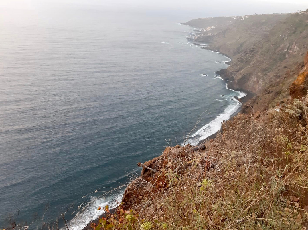 One Day In Tenerife-圣克鲁斯-德特内里费必去景点