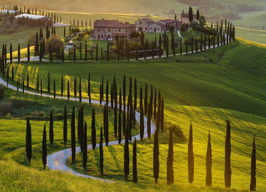 UNIQUETUSCANY private tours-佛罗伦萨必去景点