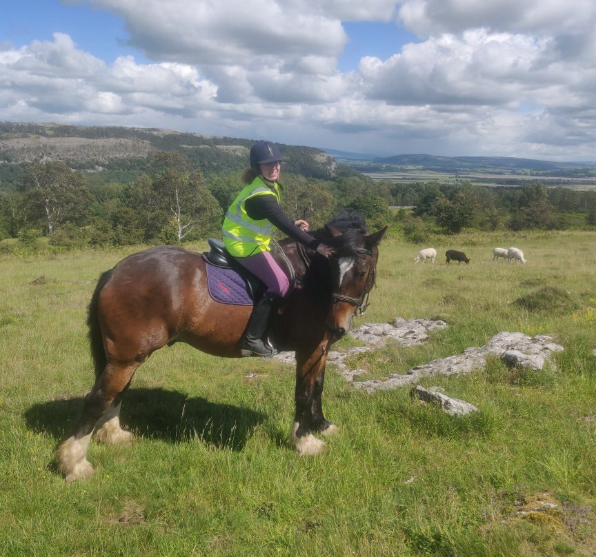 Witherslack Hall Equestrian Centre-Grange-over-Sands必去景点