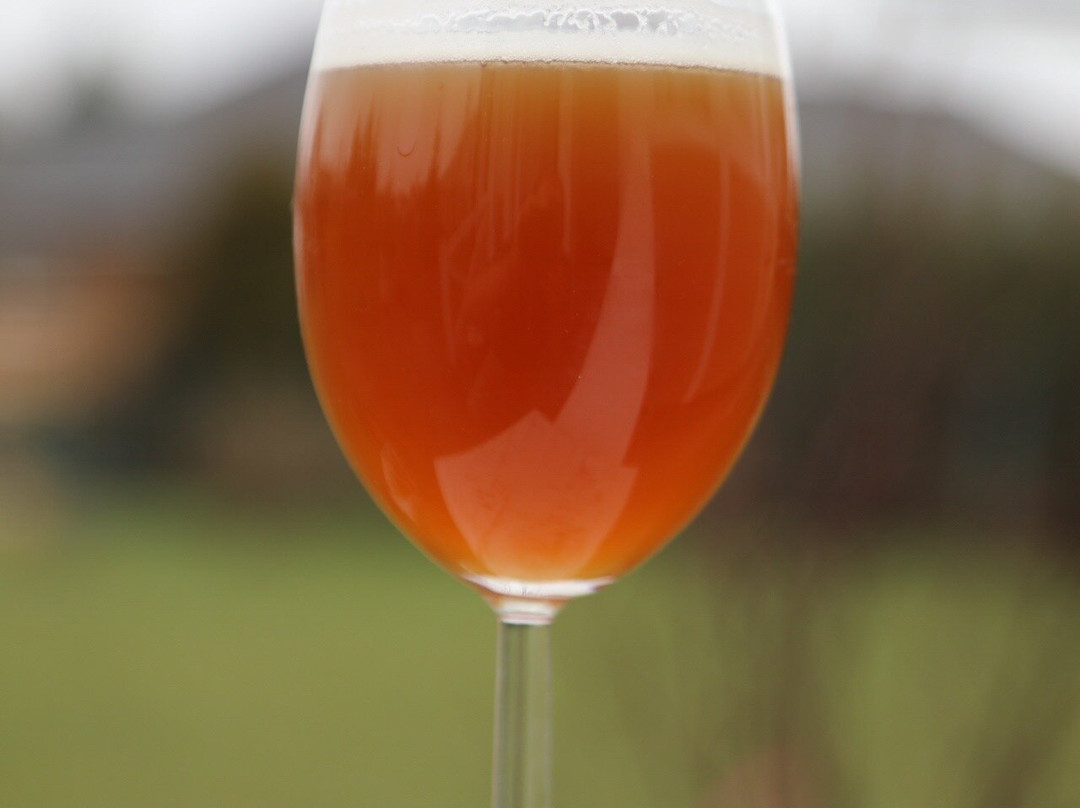 Matrix Brewery-波多利斯克必去景点