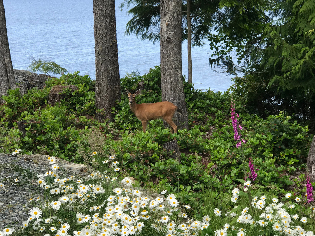 Hidden Cove Lodge主图