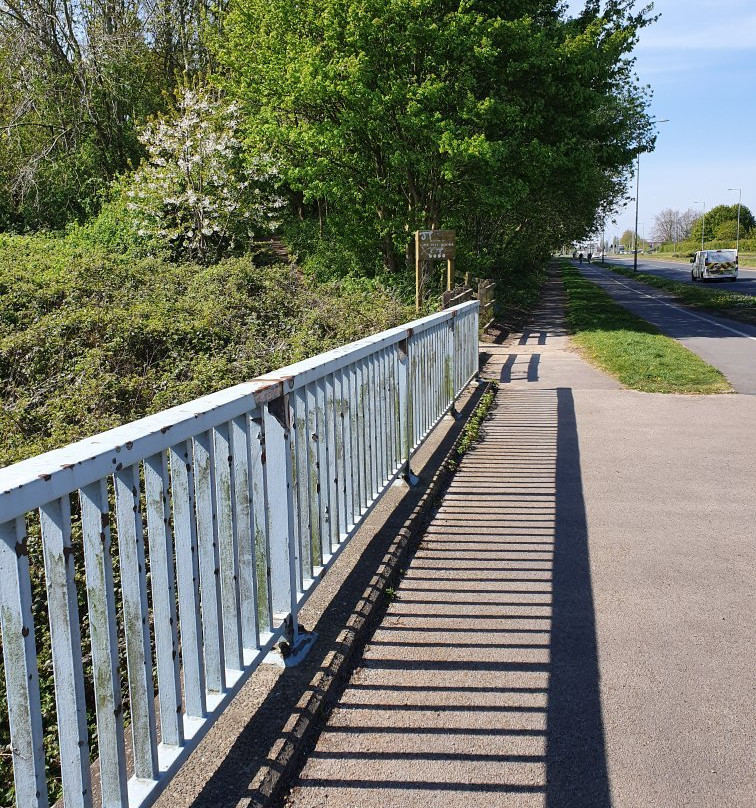 Lime Tree Woods-诺斯利必去景点