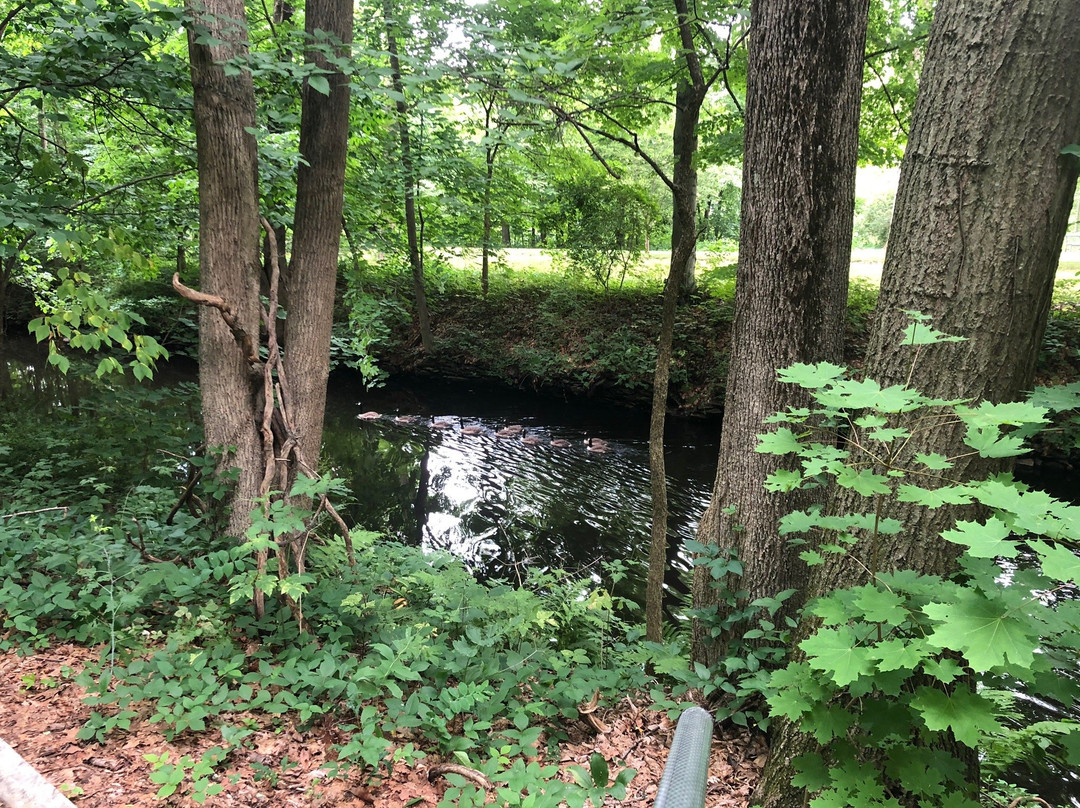 Blackstone River Bikeway景点图片