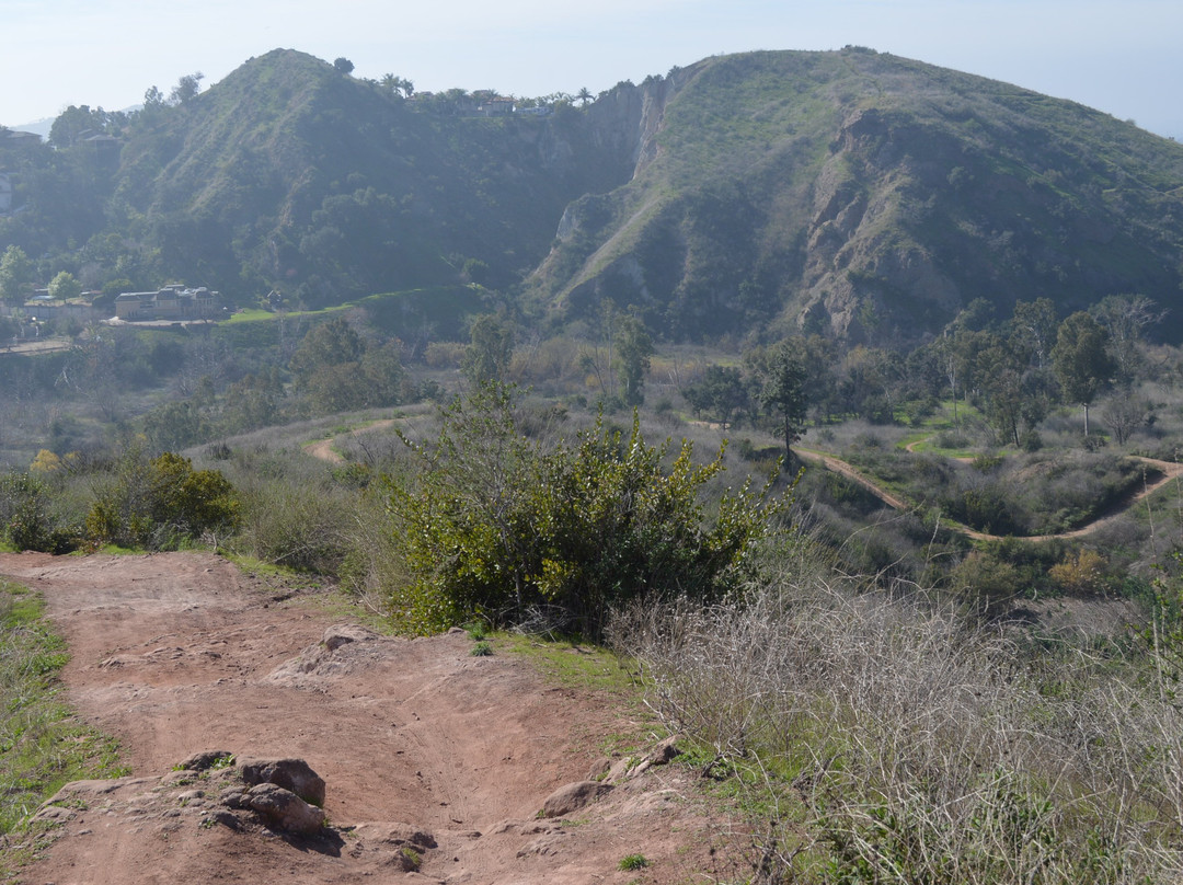 Santiago Oaks Regional Park景点图片