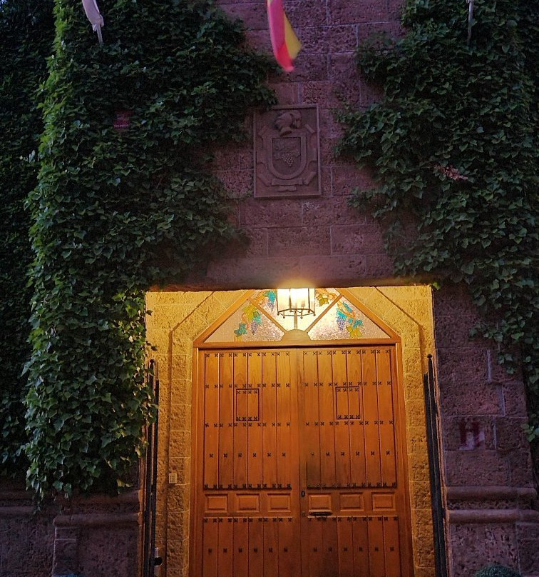 Vinedos y Bodegas El Castillo主图