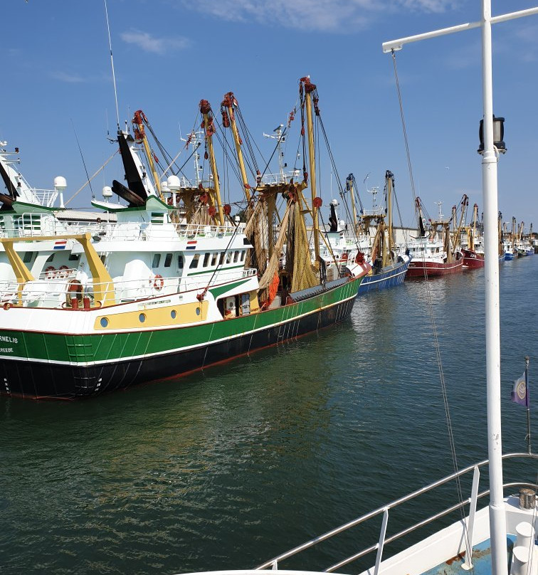 IJmuidense Rondvaart Maatschappij - Boat Tours-Ijmuiden必去景点