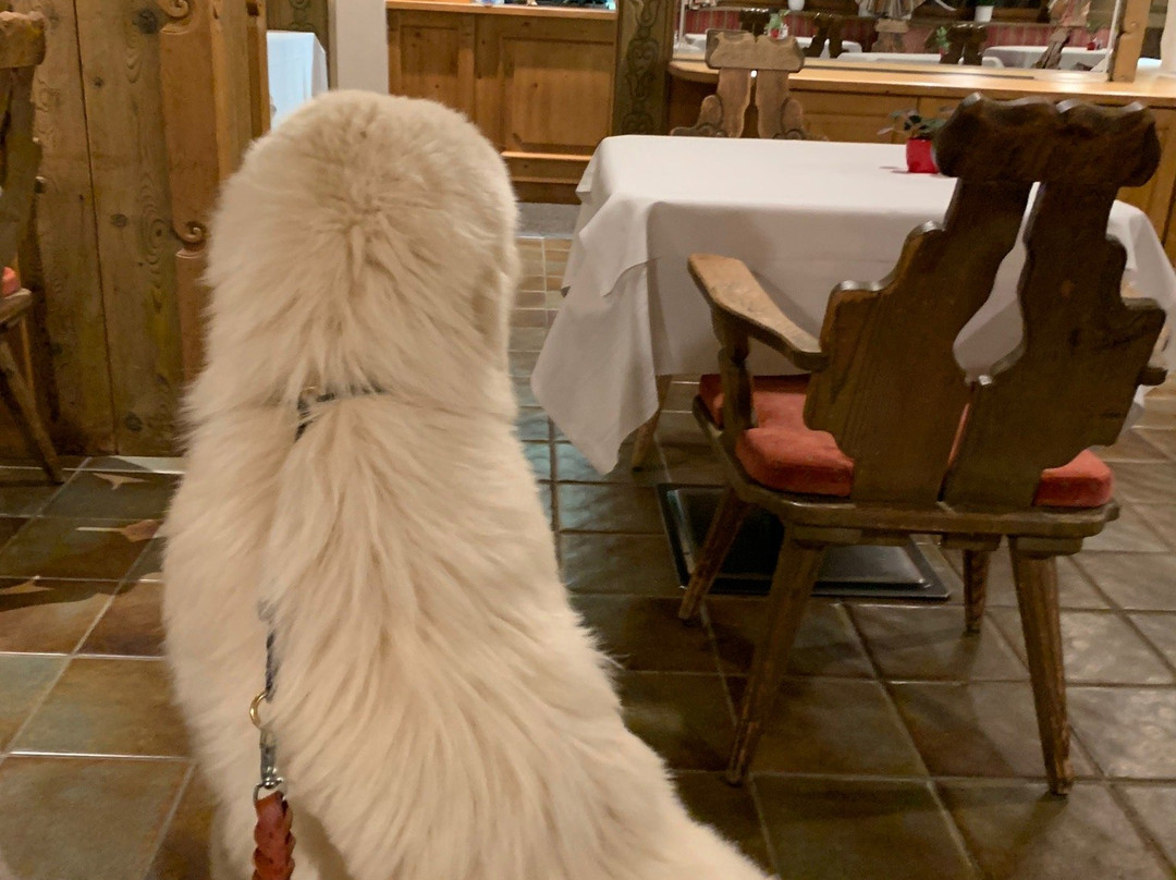 Sporthotel Pechtl主图