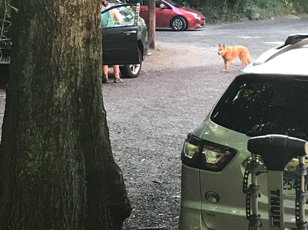 Mianus River Park-斯坦福必去景点