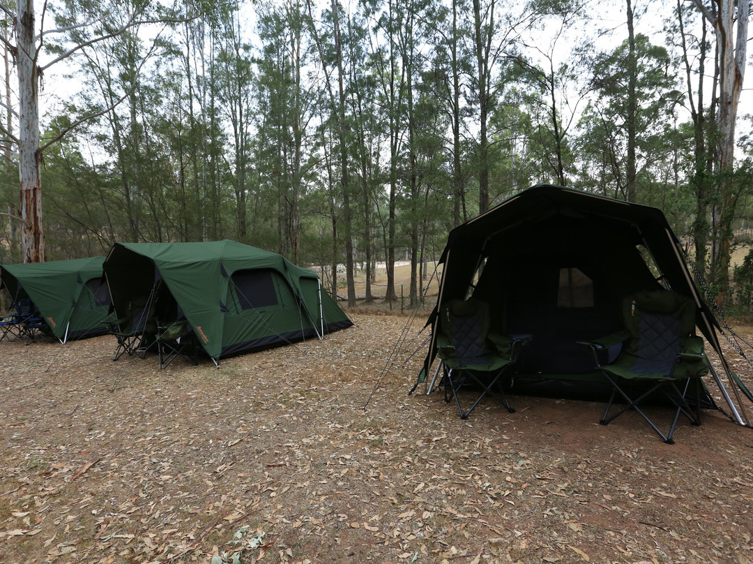 Great Camping Adventures景点图片