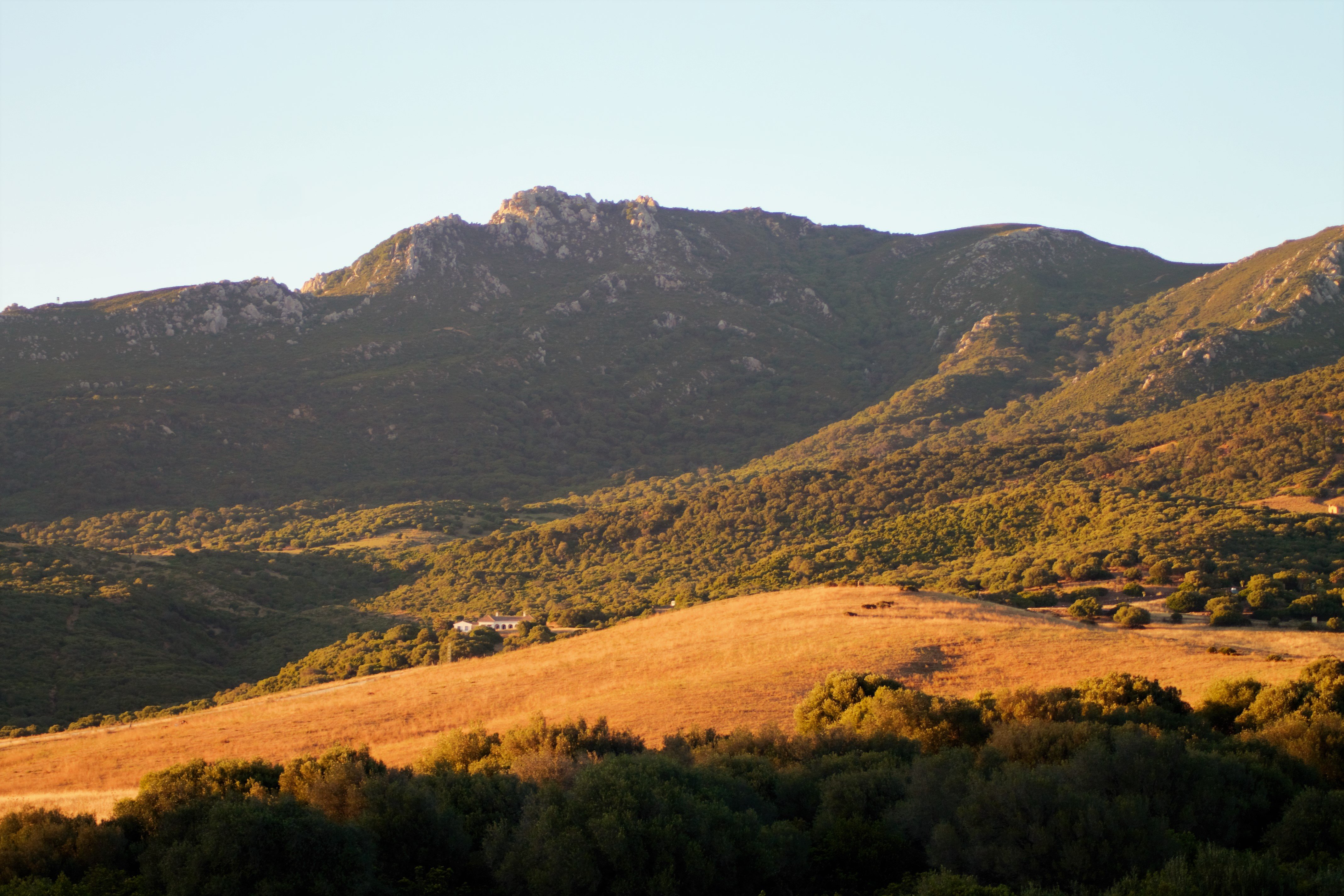 Cortijo Las Piñas-浴室