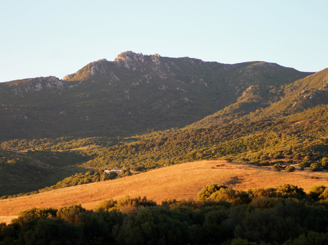 Cortijo Las Piñas主图