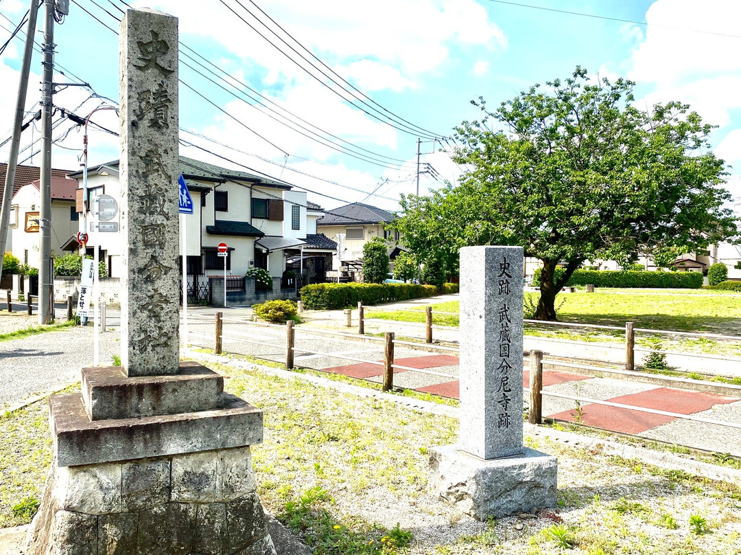 Shiritsu Rekishi Park Musashi Kokubunniji Ato景点图片