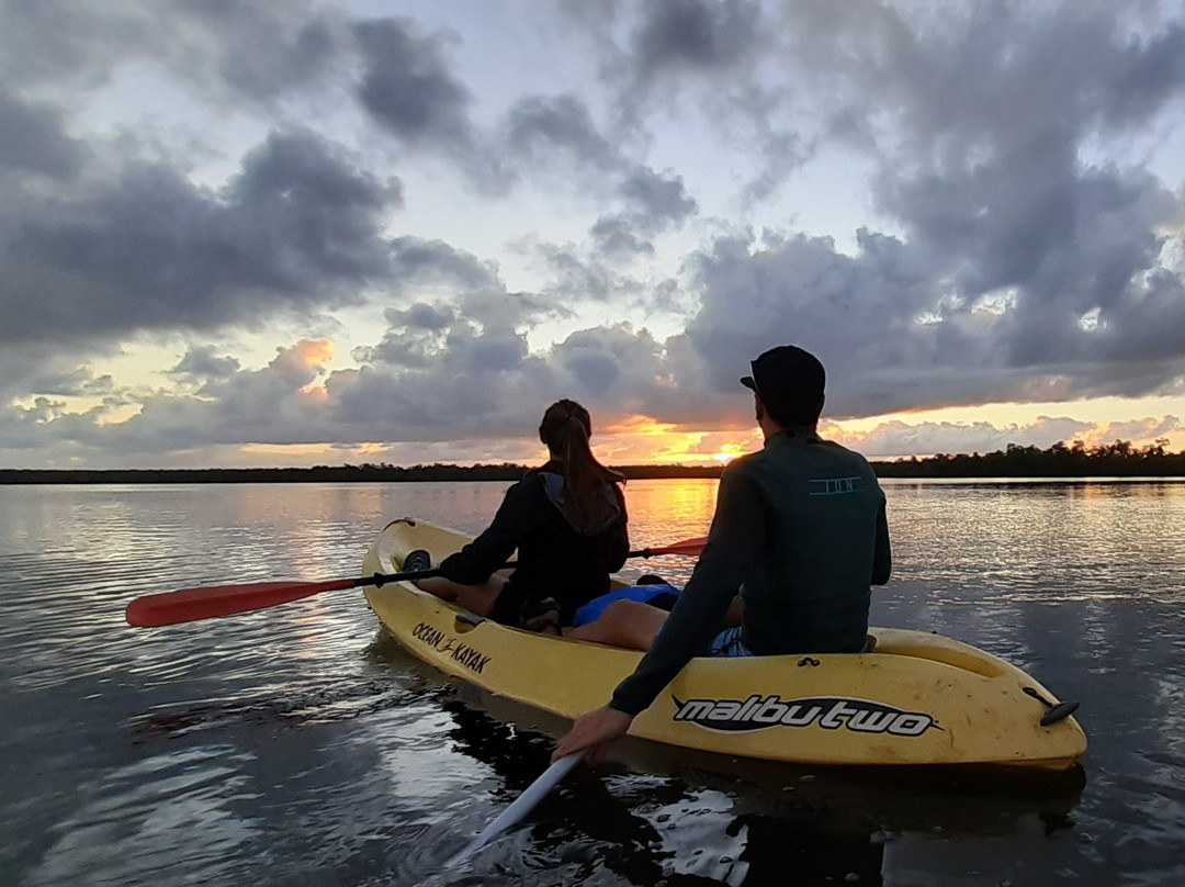 Whale Tours Samana-Sabana de la Mar必去景点