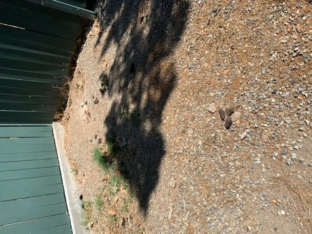 Kern Lodge, Kernville主图