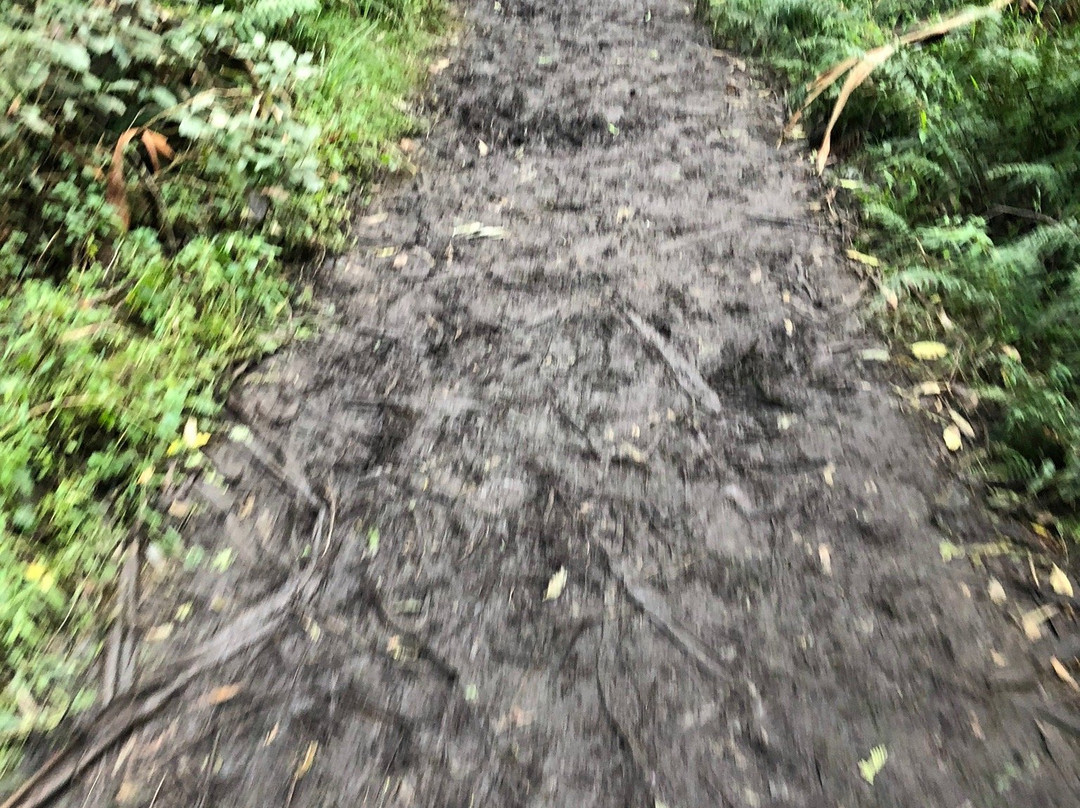O'Donohue Picnic Ground-希尔布鲁克必去景点