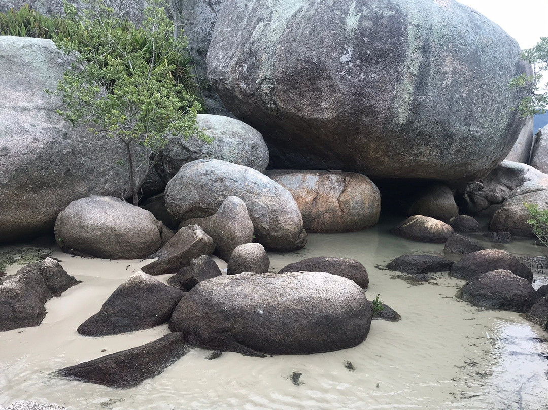 Praia da Armação da Piedade-Governador Celso Ramos必去景点