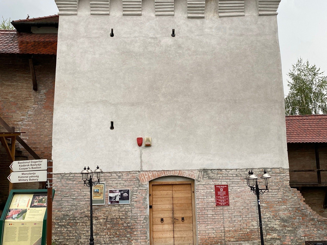 Palatul Culturii-特尔古穆列什必去景点