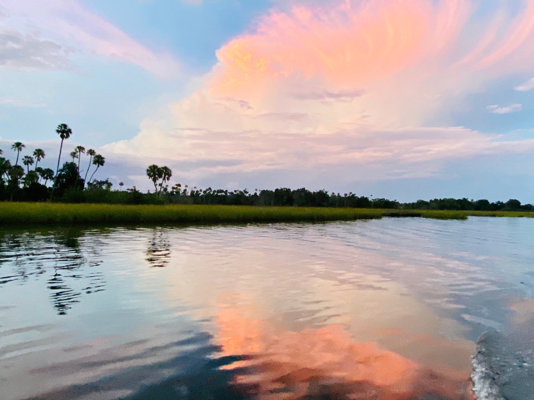Gulf Coast Expeditions-克里斯特尔里弗必去景点