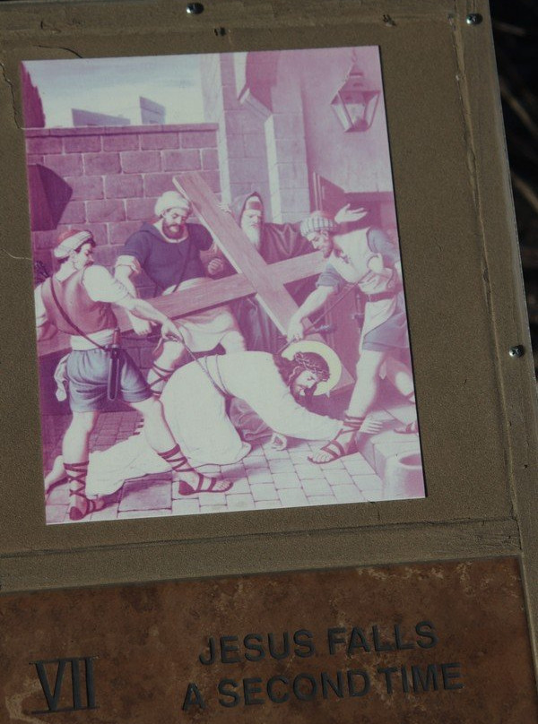 Christ The King Lutheran Church-雷德兰兹必去景点