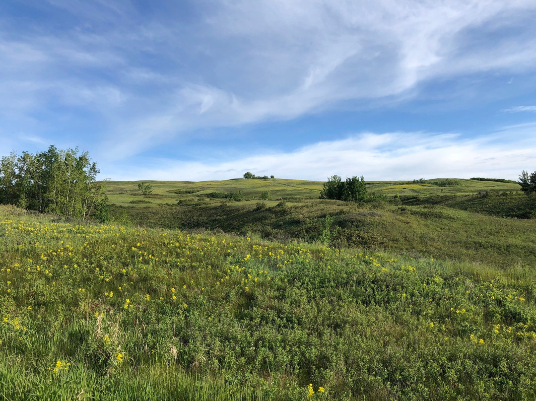 Nose Hill Park-卡尔加里必去景点