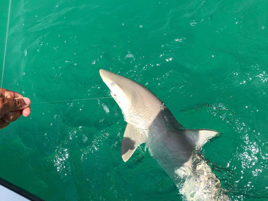 Capt. Rick Gross with Fishy Business-布雷登顿必去景点