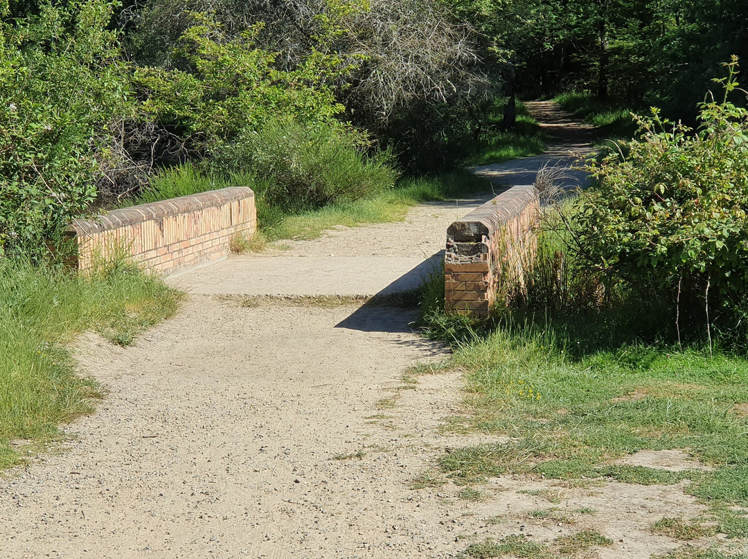 Forêt de Bouconne-Levignac必去景点