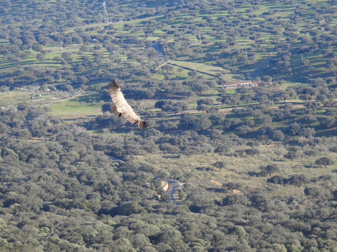 Castillo De Monfragüe-卡塞雷斯必去景点