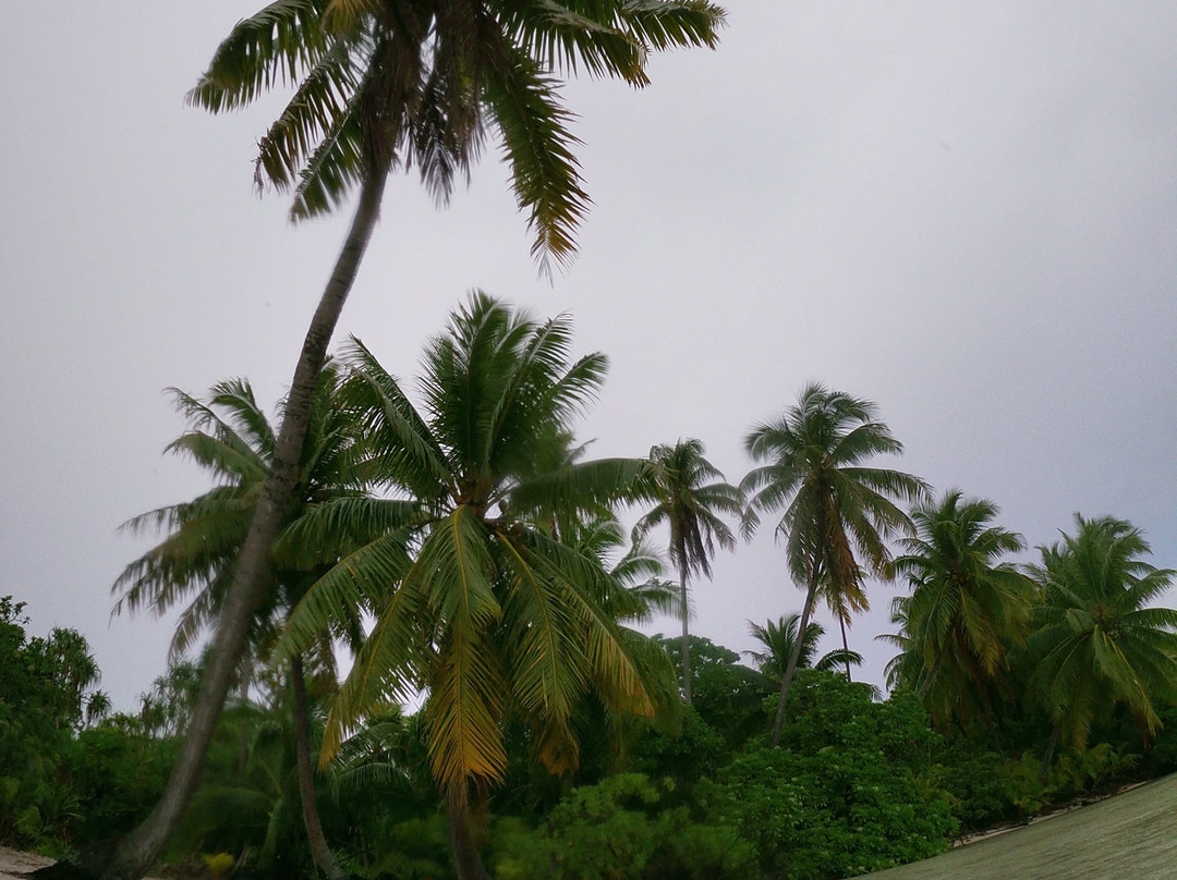 Rairoa Fishing And Tours-伦吉拉必去景点