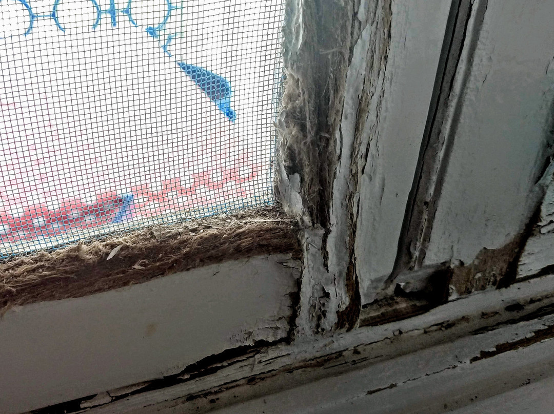 Tavari旅游攻略图片