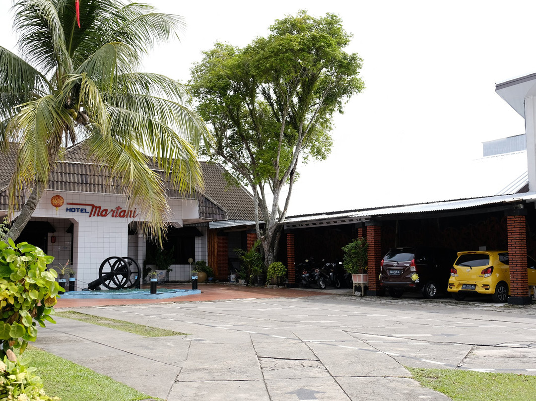 Hotel Martani主图