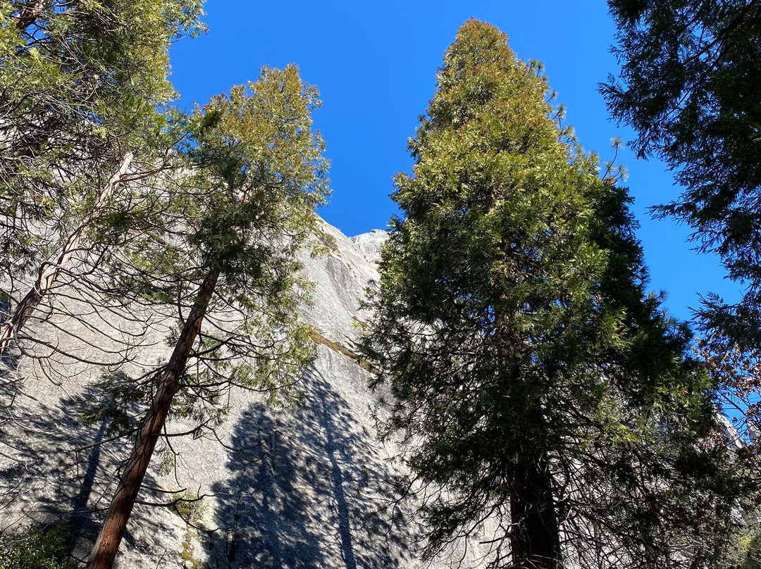 Lower Yosemite Fall Trail景点图片