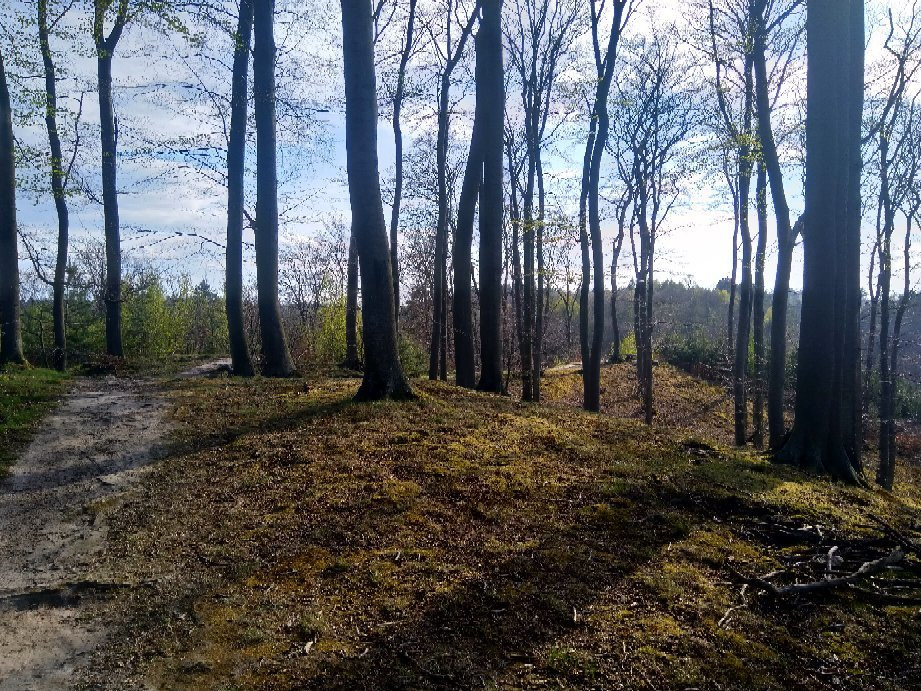 Trojmiejski Landscape Park景点图片