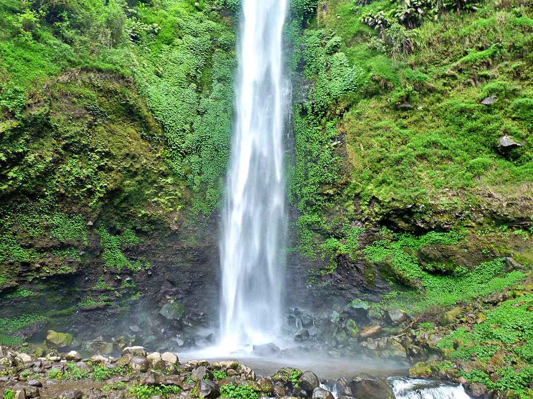 Coban Rondo Waterfall景点图片