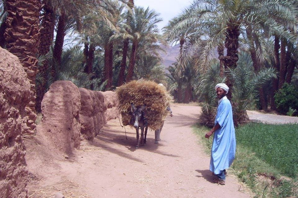 TREK MOROCCO DESERT-瓦尔扎扎特必去景点