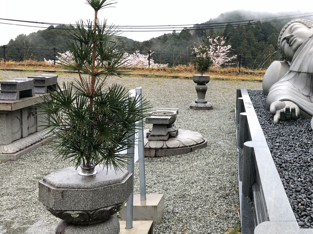 Tsubosaka Temple Dainehan Sekizo景点图片