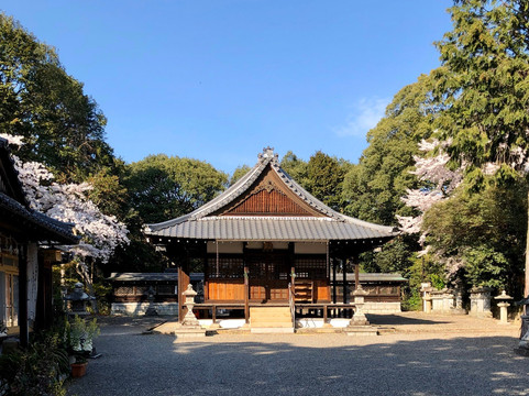 Ikuwa Shrine-野洲市必去景点