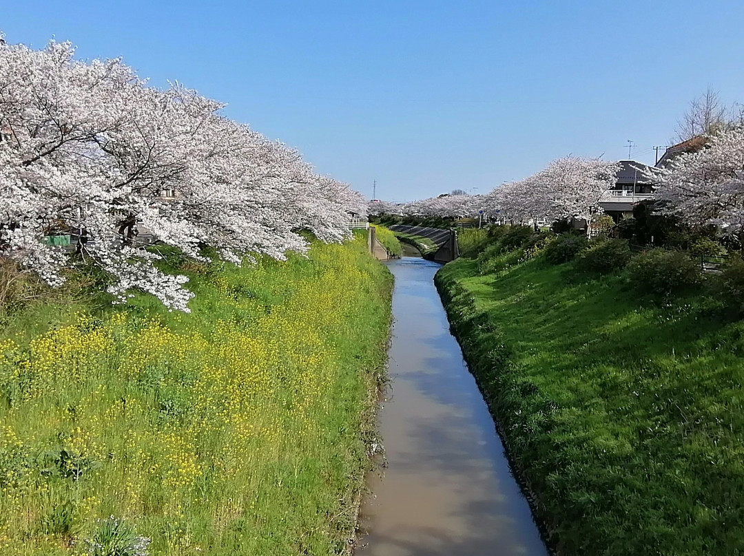 Toyoda River景点图片