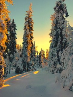 Wildnisdorf Solberget-Nattavaara必去景点