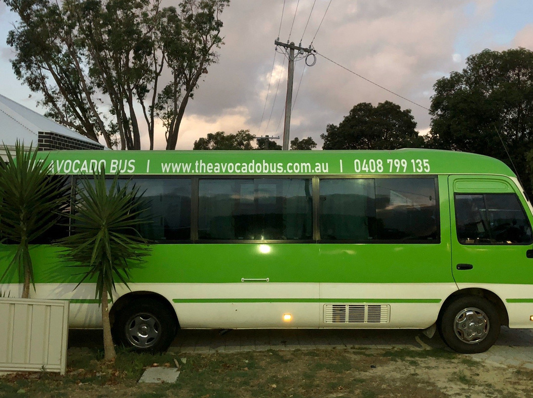 The Avocado Bus - Bus and Driver Service!景点图片