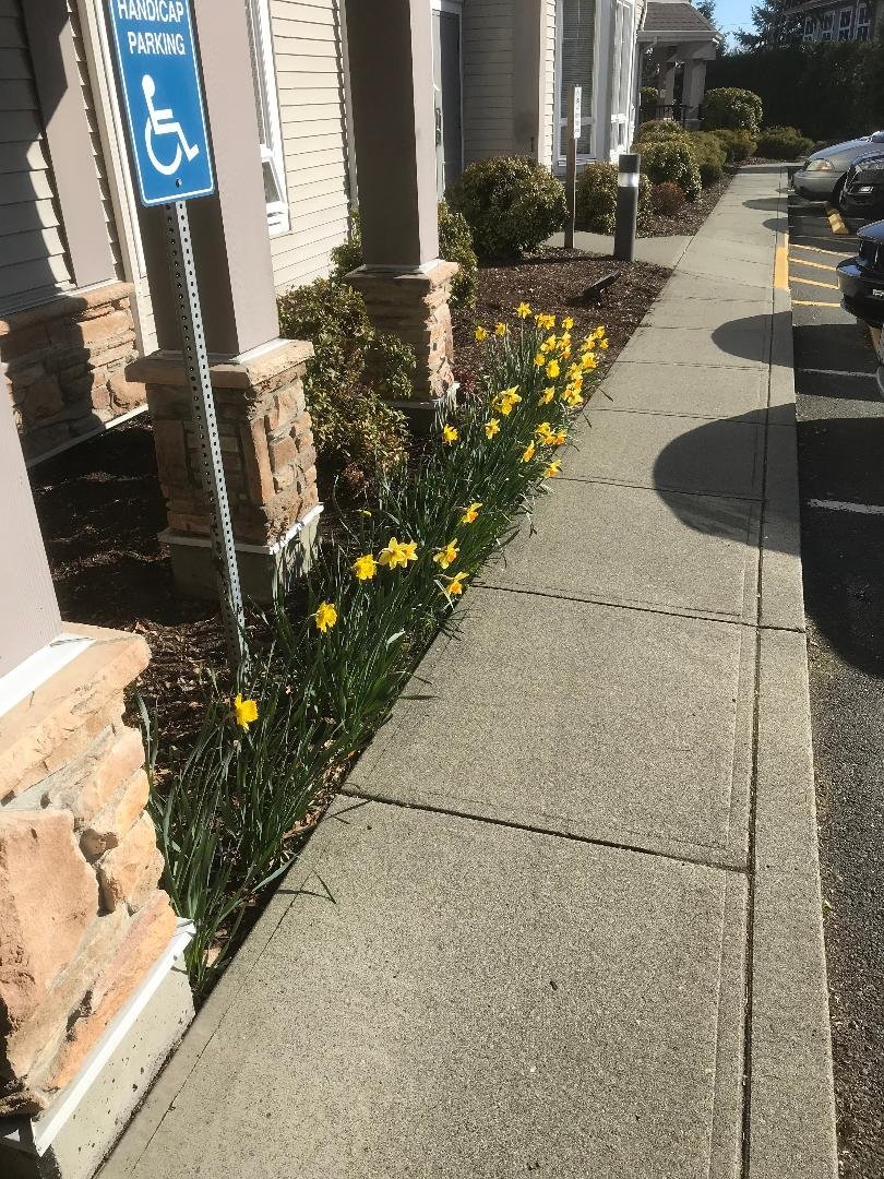 Best Western Plus Chemainus Inn-portrait