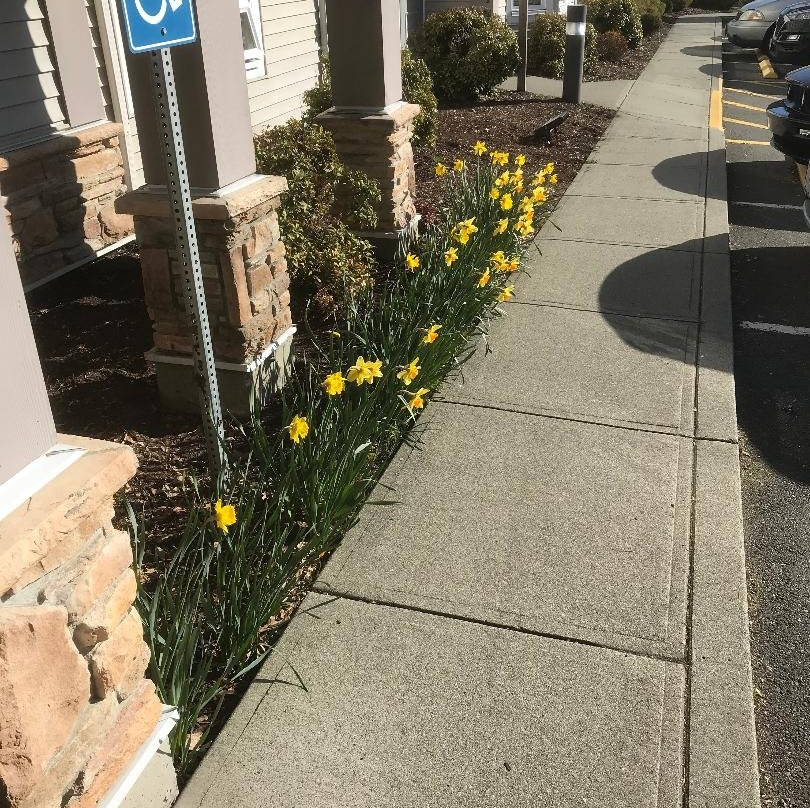 Best Western Plus Chemainus Inn主图