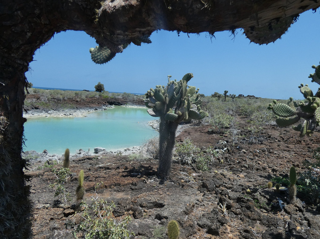 Rosa Blanca-圣克里斯托瓦尔必去景点